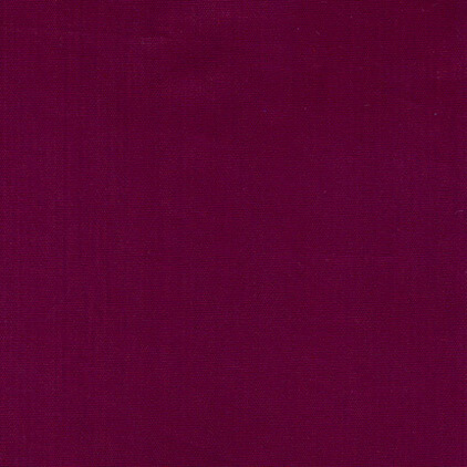 Polyline 2 Violet