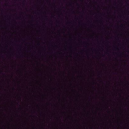 Velvet Velour Purple