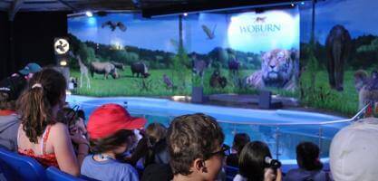 Large 3D screen moves in near sea lions in Woburn Safari Park