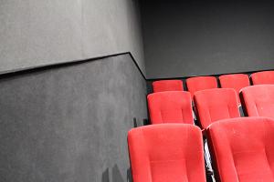 Wall carpets and flooring for cinemas, theatres and multi-use spaces