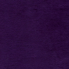 Tamar Purple
