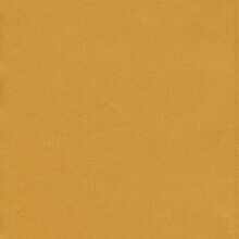 Amari Yellow (407)
