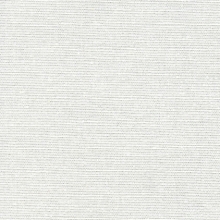 Cotton Canvas Bleached 300gm/m² (1200cm)