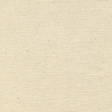 Cotton Canvas Natural 300gm/m² (620cm) 