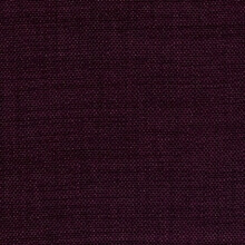Odine Purple (603)